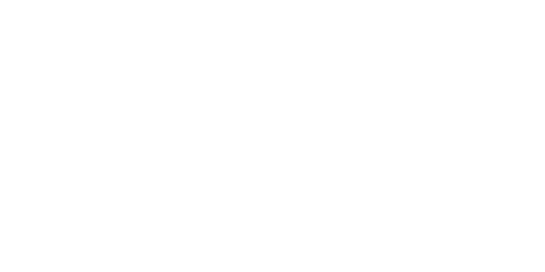 logo michelle shanti